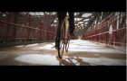 Rafale Drive Fixies