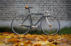 fixies-veja