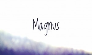 Magnus une magnifique vidéo d'animation
