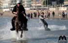 Madone : Le sportswear surfing haut de gamme