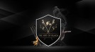The art of black : Le mentoring x Johnnie Walker
