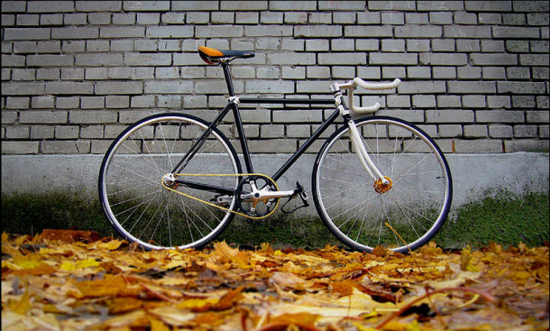 Fixies ♥ Veja (et réciproquement)